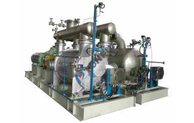 中国石油化工股份有限公司镇海炼化分公司IPSA完善改造项目液环真空泵